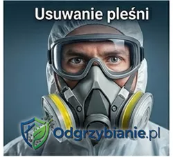 Usuwanie pleśni