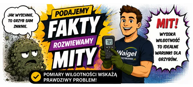 Czy grzyby znikną same?