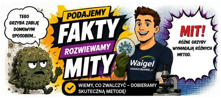 jak usunąć tego grzyba?