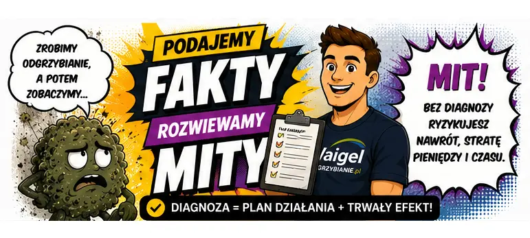 Czy najpierw robić odgrzybianie, a potem myśleć o reszcie?