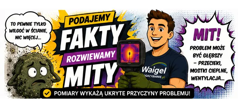Czy można bagatelizować wilgoć w ścianie?
