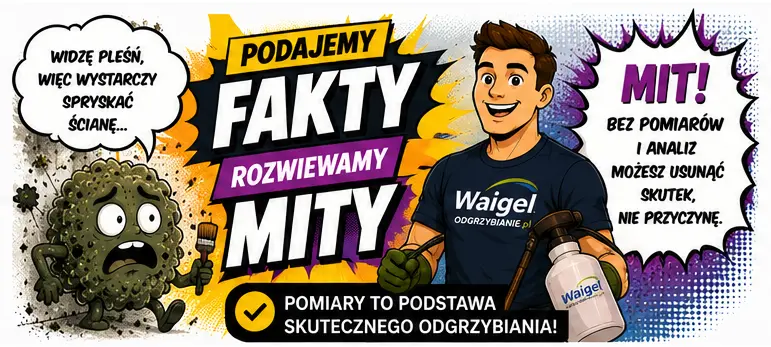 Czy wystarczy tylko spryskać zagrzybioną ścianę?